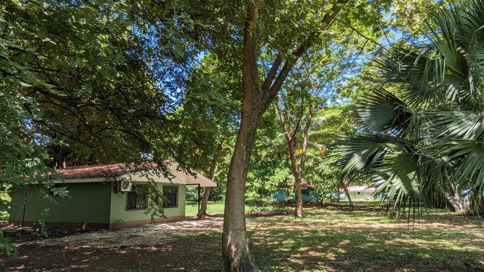 Iguana Street Houses Coco Exterior foto